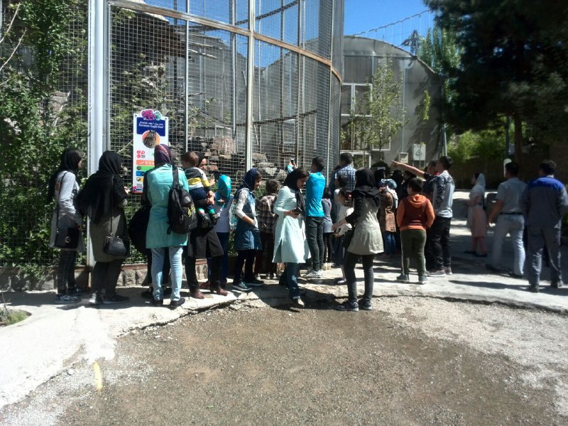 کودکان مهرآفرین به تماشای باغ پرندگان رفتند