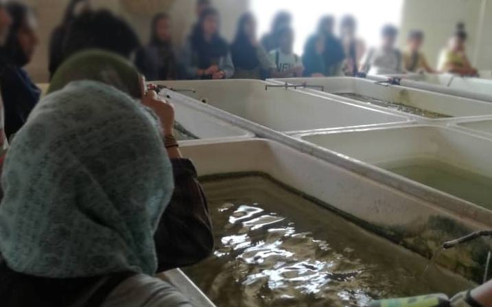 آشنایی با پرورش ماهیان زینتی/ نخستین اردوی علمی مرکز رشد مهرآفرین